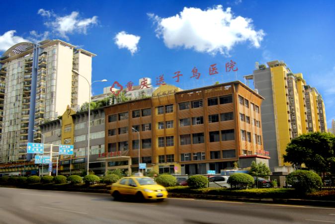  重庆送子鸟