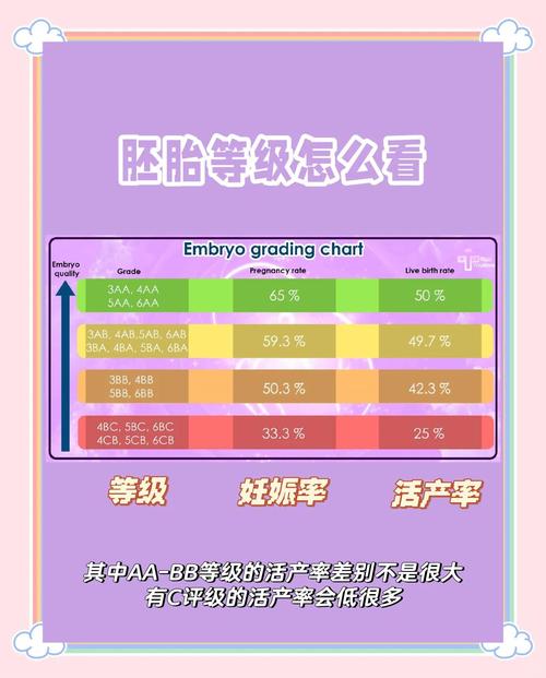 胚胎等级影响