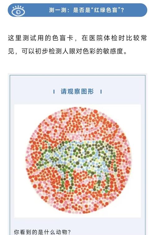 色盲遗传筛查