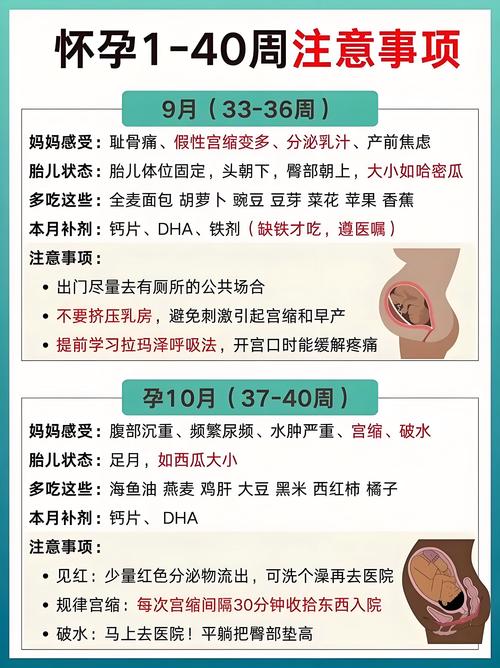 孕育成功案例