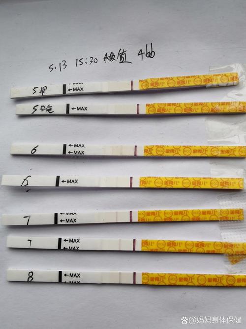 移植第八周