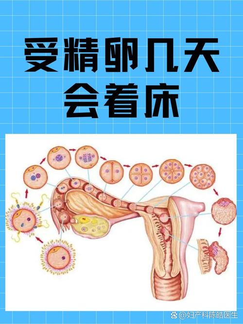 受精因素