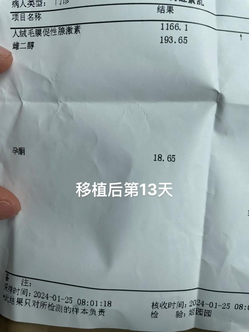 移植着床成功率