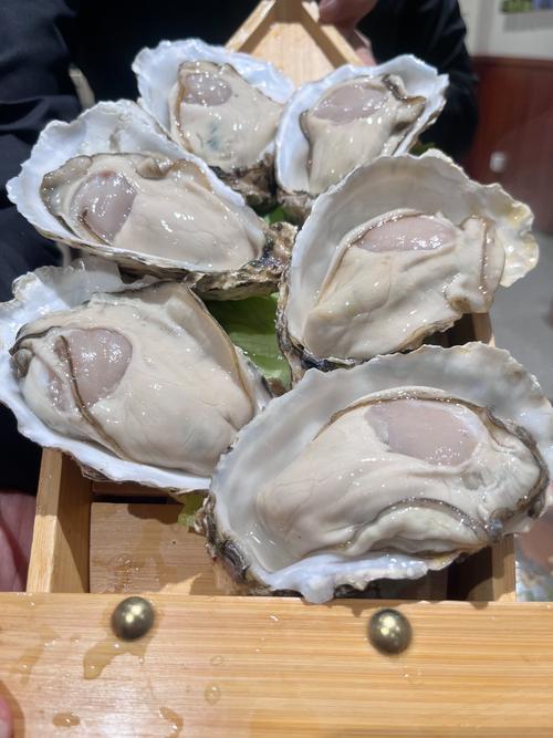 生蚝