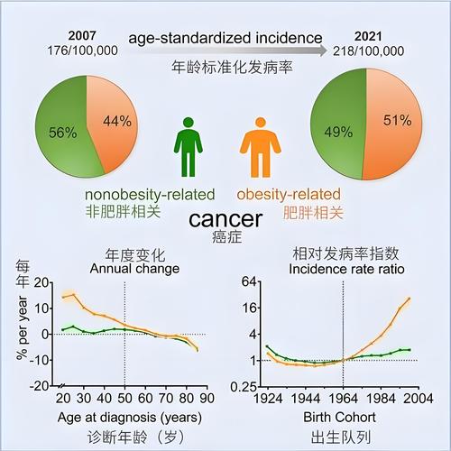  肿瘤风险