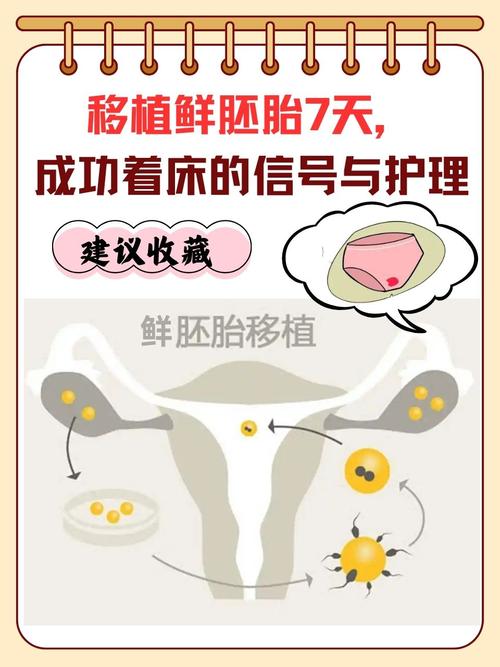 着床七天