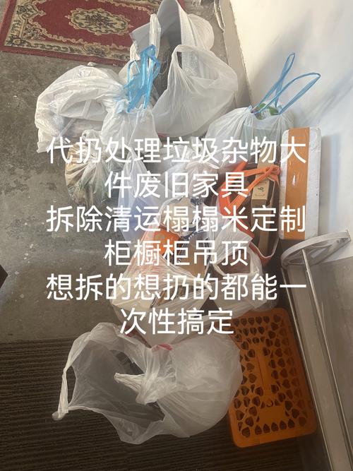  废物排除