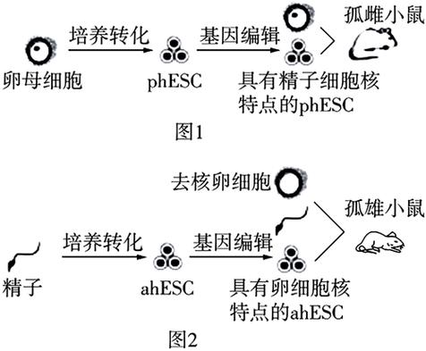 孤雄激活技术
