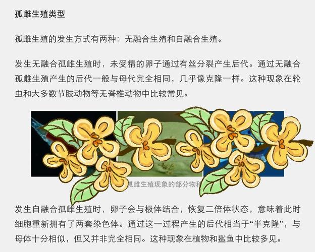 孤雌激活技术