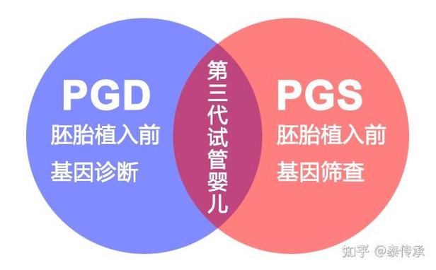 私人三代试管婴儿