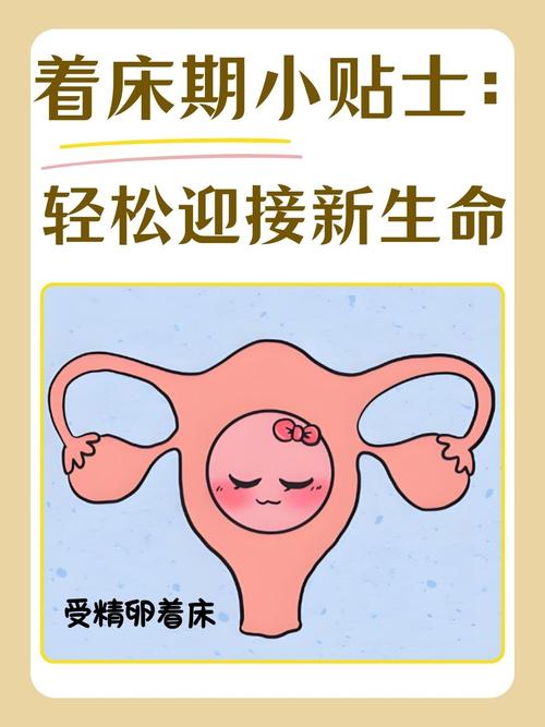 着床第四周