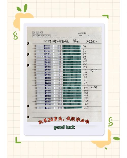 鲜胚受孕