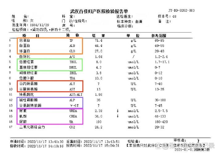 肝肾功能