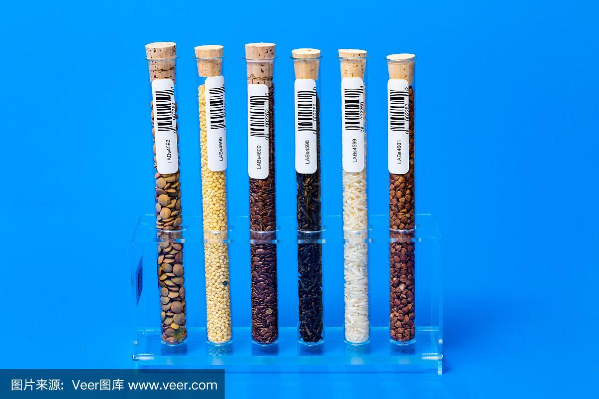 试管种子