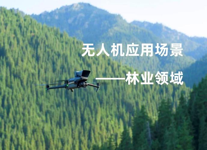  应用场景