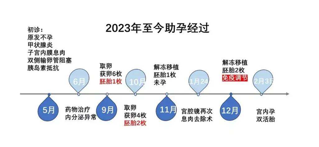 试管婴儿治疗流程
