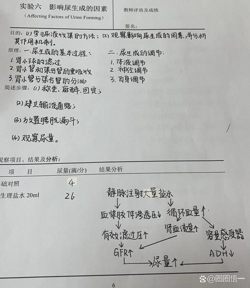  实验结果影响