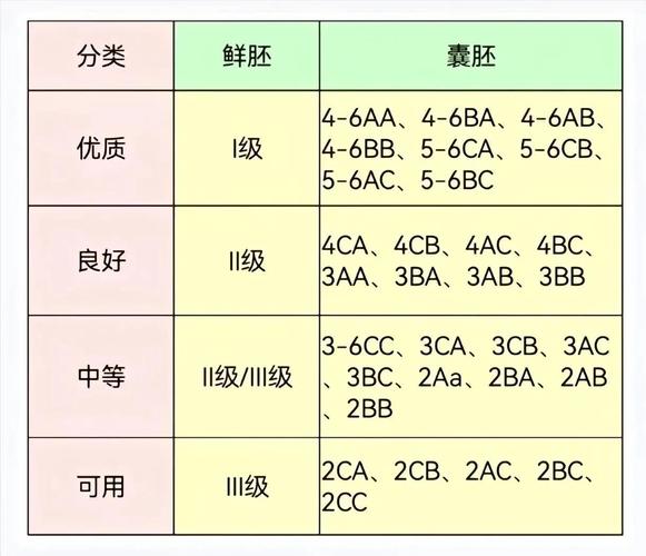 胚胎质量分类