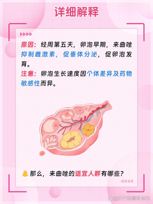 排卵治疗