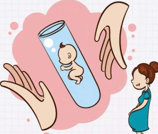 试管婴儿，8号臂间倒位，成功率，技术挑战