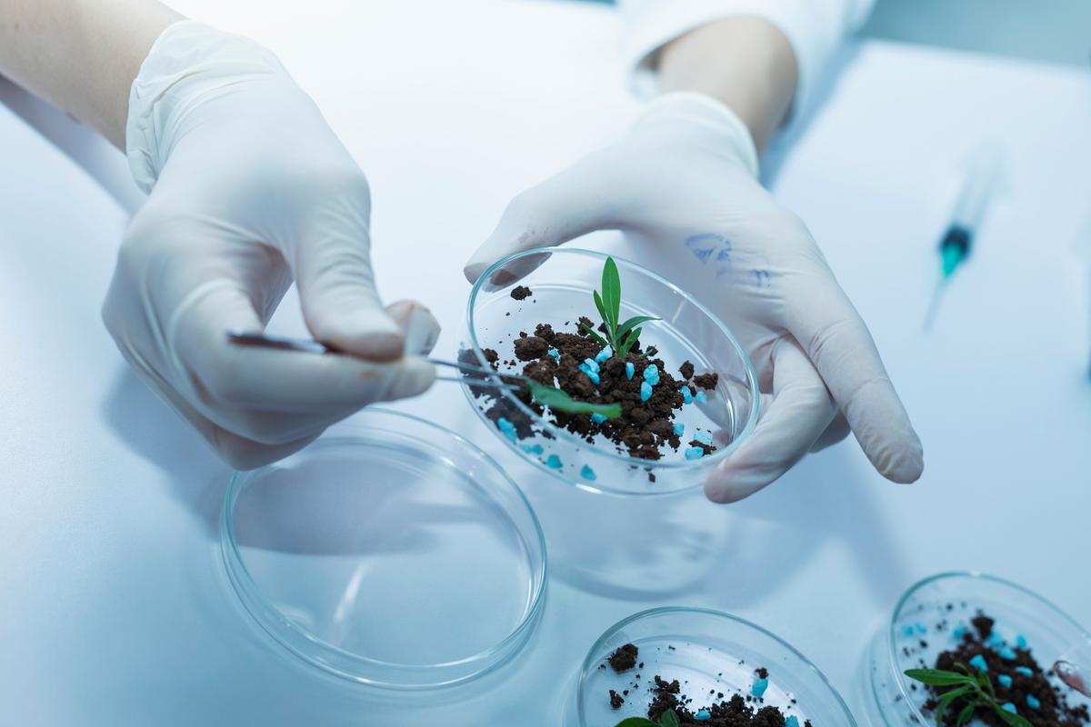 生物技术