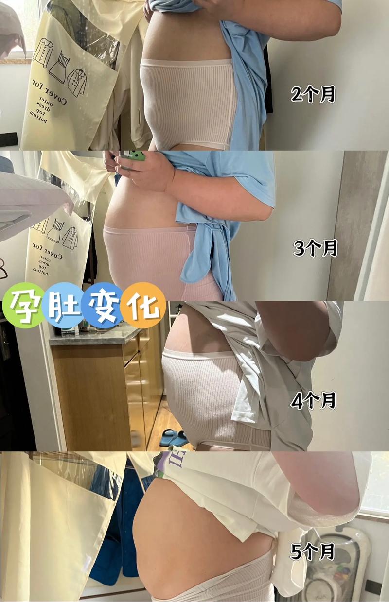 怀孕第五个月