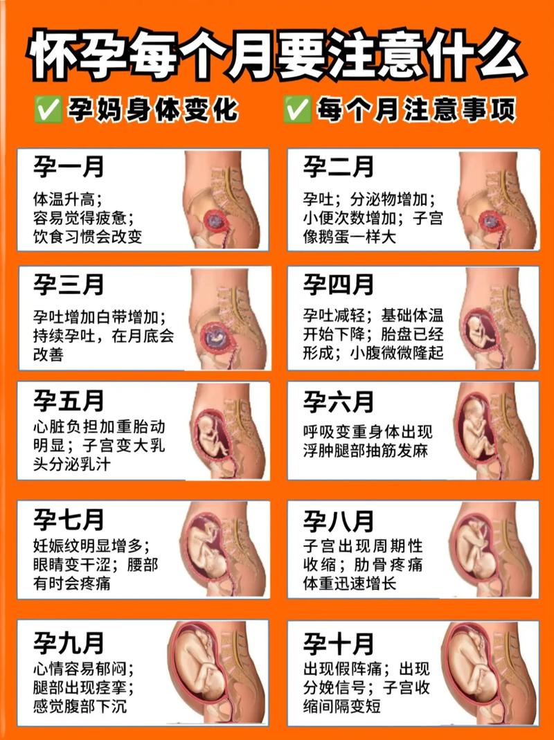  早期妊娠