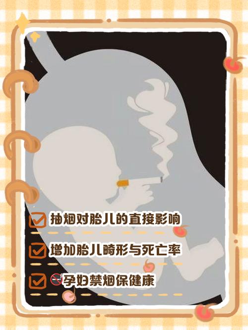  母体危害