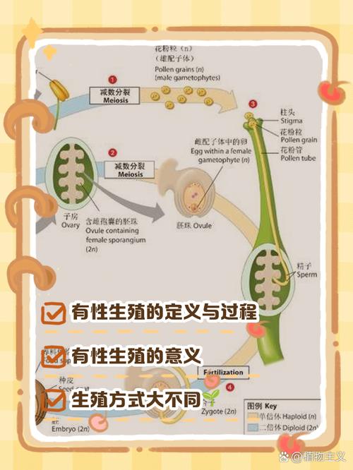 生殖寓意