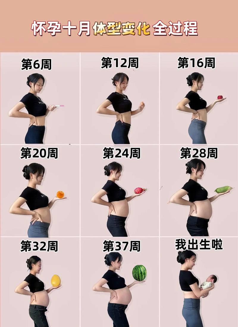 孕期肚子大小