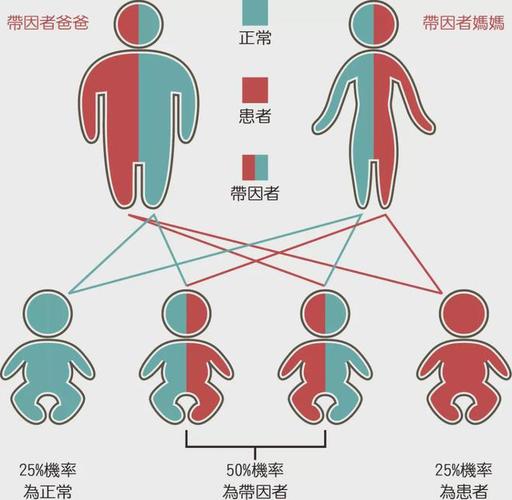父母基因缺陷