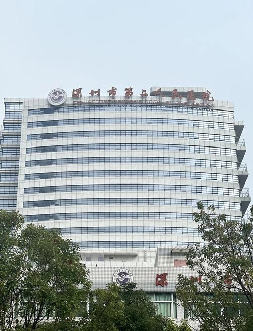  深圳二医院