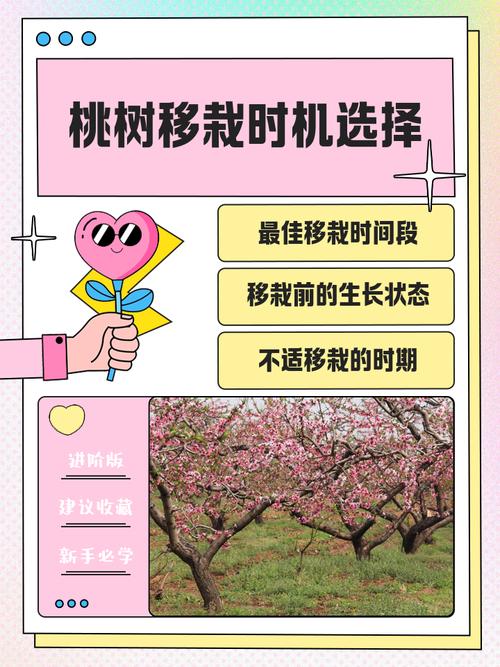移植地点选择