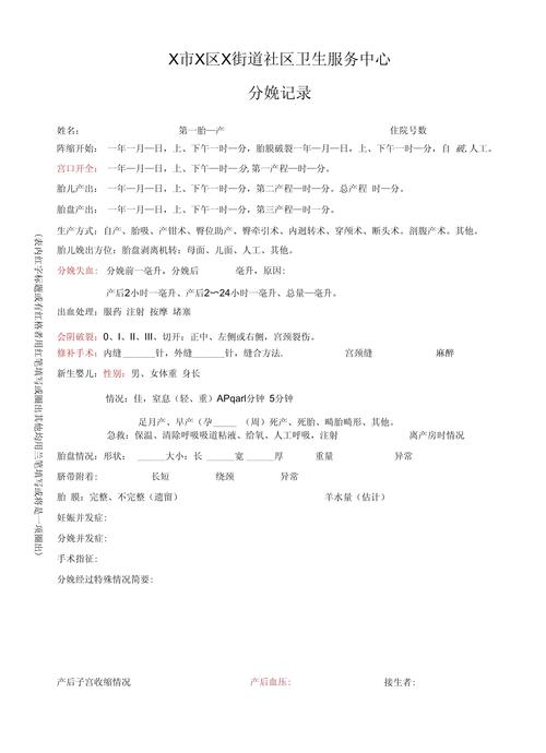 生育记录