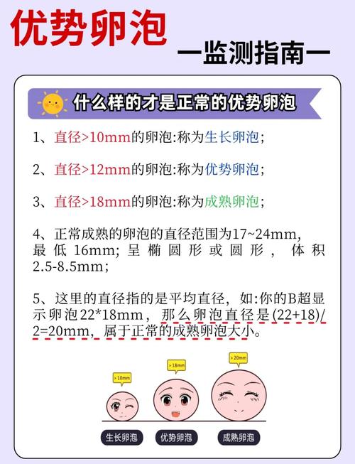 卵泡成熟评估