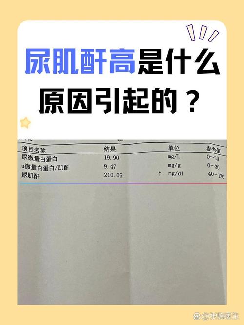肌酐偏高