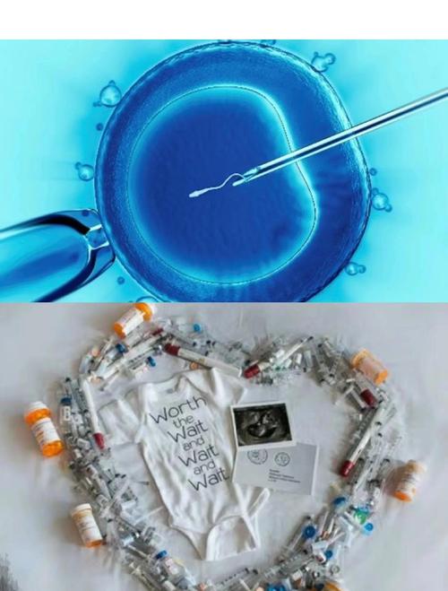 广东海外试管婴儿