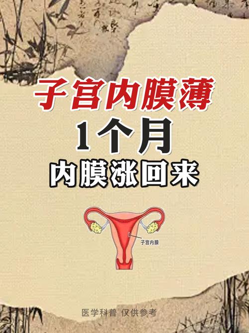  内膜下降
